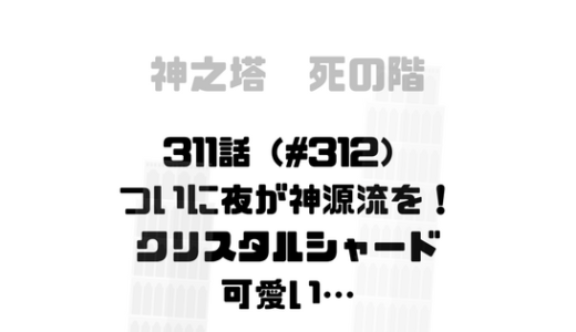 [神之塔311話#312]小ネタ少なめ、二ヶ月が経ち、夜は神源流を会得